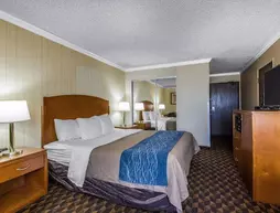 Quality Inn and Suites LAX Airport | Kaliforniya - Los Angeles County - Los Angeles - LAX Bölgesi