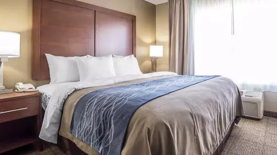 Comfort Inn Saint George North | Utah - St. George (ve civarı) - St. George