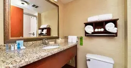 Hampton Inn Detroit/Auburn Hills South | Michigan - Detroit (ve civarı) - Auburn Hills