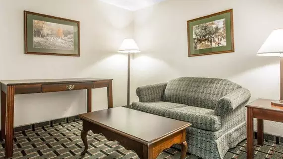 Econo Lodge Inn & Suites Marietta | Georgia - Atlanta (ve civarı) - Marietta