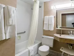 Quality Inn Chicopee/Springfield | Massachusetts - Springfield (ve civarı) - Chicopee