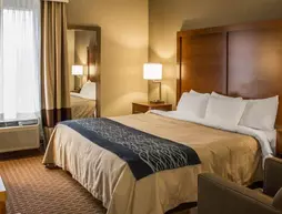 Comfort Inn Akron | Ohio - Summit İlçesi - Akron (ve civarı) - Akron