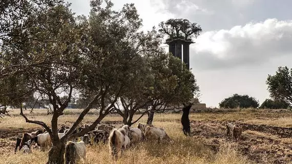 Ramat Rachel Resort | Mate Yehuda Bölge Konseyi - Kudüs (ve civarı) - Kudüs - Ramat Rachel