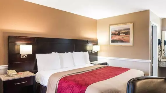 Econo Lodge Princess Anne | Maryland - Salisbury (ve civarı) - Princess Anne