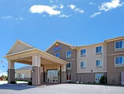 Comfort Inn & Suites Madison North | Wisconsin - Madison (ve civarı) - De Forest