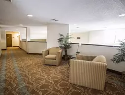 Sleep Inn Lansing | İllinois - Lansing