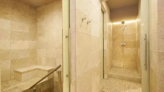 Hotel King David Prague | Prag - Městská čast Praha 1 (en büyük Prag ilçesi) - Nove Mesto