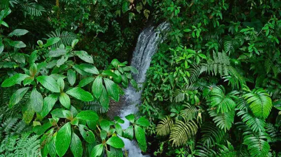 Chachagua Rainforest Hotel & Hacienda | Alajuela (ili) - San Carlos (kantonu) - El Castillo - Chachagua