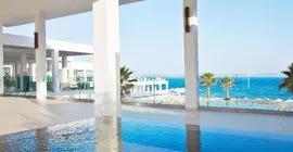 White Palace Grecotel Luxury Resort | Girit Adası - Rethimnon (bölge) - Rethimnon