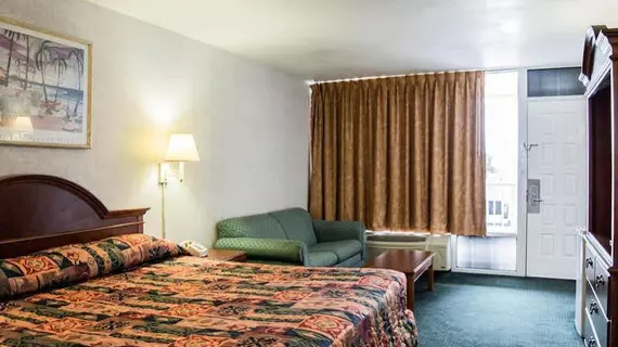 Rodeway Inn Clearwater | Florida - St. Petersburg - Clearwater (ve civarı) - Clearwater