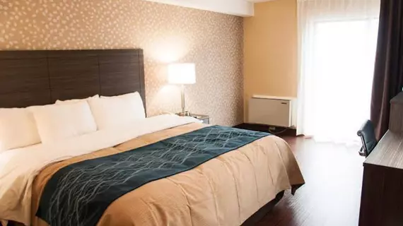 Comfort Inn Levis | Quebec - Quebec (ve civarı) - Levis