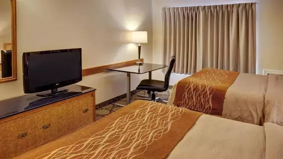 Comfort Inn Newmarket | Ontario - Toronto (ve civarı) - Newmarket