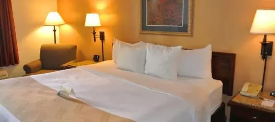 Quality Inn and Suites | Missouri - Springfield (ve civarı) - Springfield