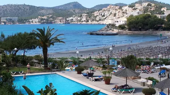 Hotel Beverly Playa | Balearic Adaları - Mayorka Adası - Calvia - Peguera