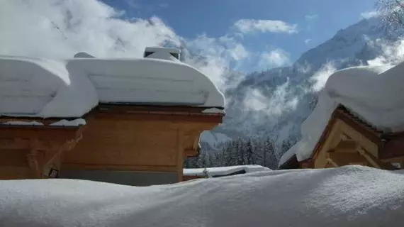 Les Rives d'Argentière | Auvergne-Rhone-Alpes - Haute-Savoie (bölge) - Chamonix-Mont-Blanc - Argentiere