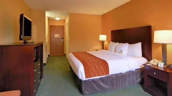 Comfort Inn Ruston | Louisiana - Ruston (ve civarı) - Ruston