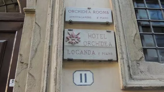 Hotel Orchidea | Toskana - Floransa (il) - Floransa