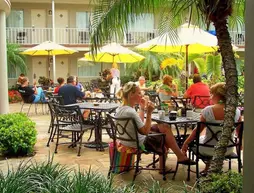 Thunderbird Beach Resort | Florida - St. Petersburg - Clearwater (ve civarı) - Treasure Island