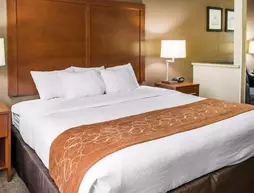 Comfort Suites Waldorf | Maryland - Waldorf (ve civarı) - Waldorf