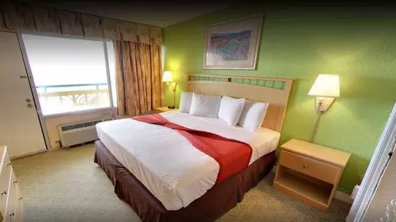 Rodeway Inn & Suites | Güney Karolayna - Myrtle Plajı (ve civarı) - Myrtle Beach