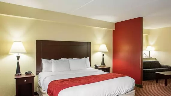 Comfort Suites Mount Juliet | Tennessee - Nashville-Davidson - Nashville (ve civarı) - Mount Juliet