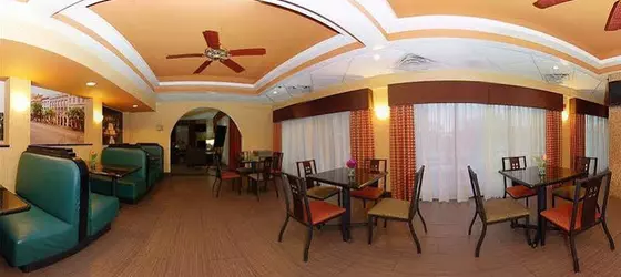 Comfort Inn and Suites | Güney Karolayna - Greenville - Spartanburg (ve civarı) - Greenville