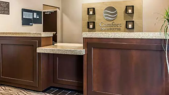 Comfort Inn and Suites | Kentucky - Lexington (ve civarı) - Mount Sterling