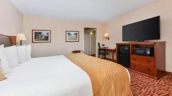 BEST WESTERN REGENT INN | Connecticut - Willington (ve civarı) - Mansfield Center