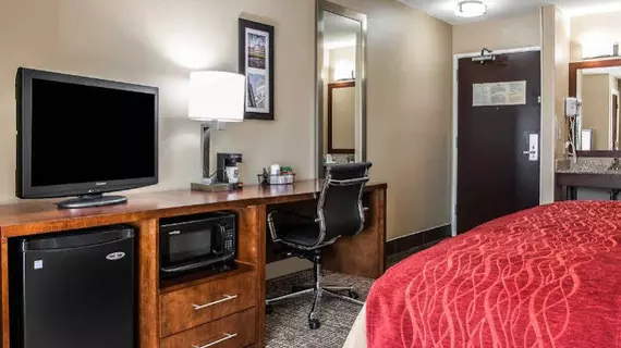 Comfort Inn and Suites | Kentucky - Lexington (ve civarı) - Mount Sterling