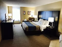 Comfort Inn & Suites Galleria | Georgia - Atlanta (ve civarı) - Smyrna