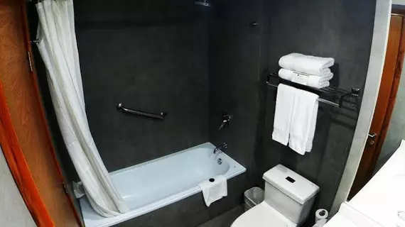 Hotel Diego de Almagro Providencia | Santiago - Santiago (ve civarı) - Providencia