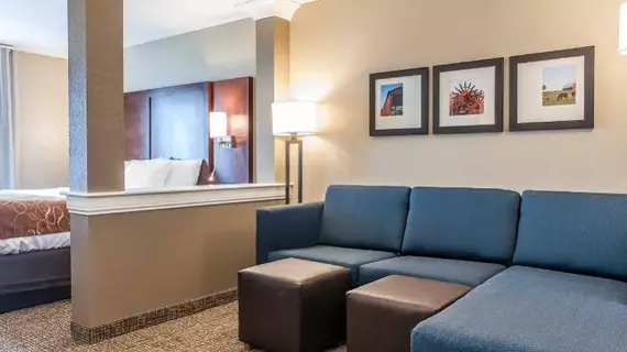 COMFORT SUITES RENSSELAER | Indiana - Rensselaer