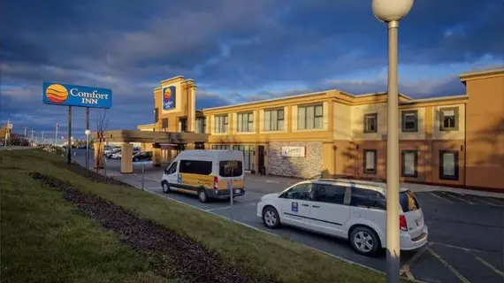 Comfort Inn Airport St. John's | Newfoundland and Labrador - Newfoundland - St. John's (ve civarı) - St. John's