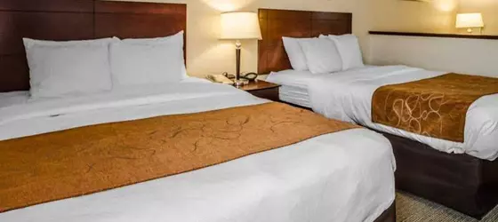 Comfort Suites Jeffersonville | Indiana - Jeffersonville - Clarksville (ve civarı) - Jeffersonville