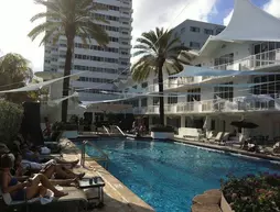 Studios at The Shelborne | Florida - Miami Beach - Güney Plajı