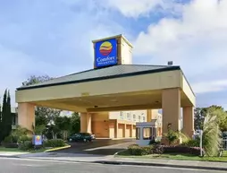 Comfort Inn & Suites Oakland Airport | Kaliforniya - Oakland (ve civarı) - Oakland