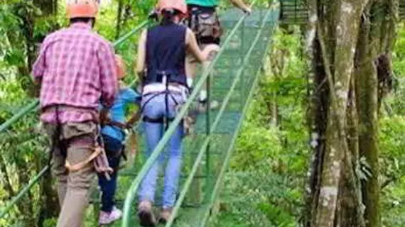 Montaña De Fuego | Alajuela (ili) - San Carlos (kantonu) - La Fortuna - Palma