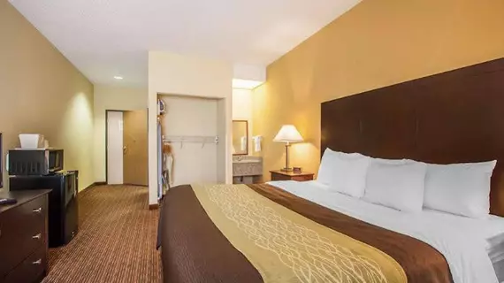 Comfort Inn and Suites Joplin | Missouri - Joplin (ve civarı) - Joplin