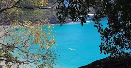 Pousada Do Biu | Northeast Region - Pernambuco (eyaleti) - Fernando de Noronha - Vila dos Remedios - Floresta Velha