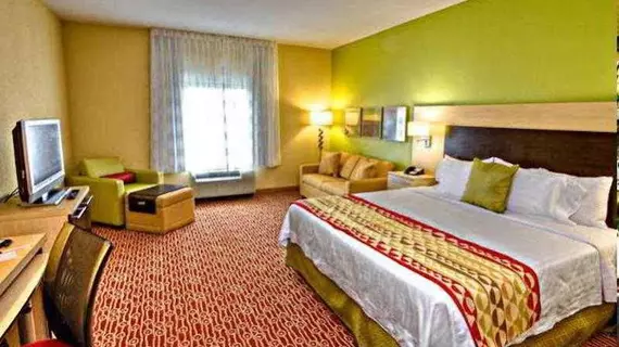 TownePlace Suites by Marriott Savannah Airport | Georgia - Savannah (ve civarı) - Savana