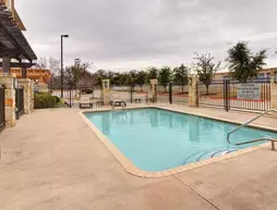 Comfort Suites Arlington | Teksas - Dallas (ve civarı) - Arlington