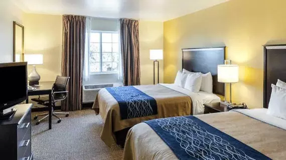 Comfort Inn & Suites Texas Hill Country | Teksas - San Antonio (ve civarı) - Boerne