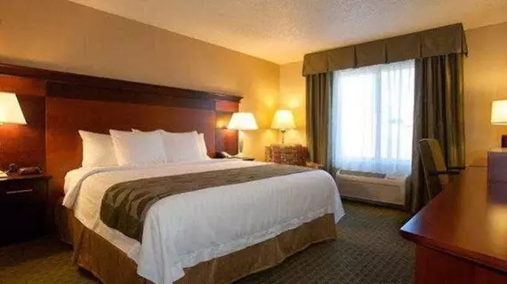 Fairfield Inn & Suites Detroit Livonia | Michigan - Detroit (ve civarı) - Livonia