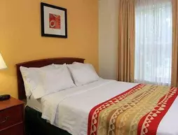 TownePlace Suites by Marriott East Lansing | Michigan - Lansing (ve civarı) - East Lansing