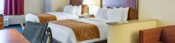 Comfort Suites Newport News Airport | Virginia - Newport News (ve civarı) - Newport News