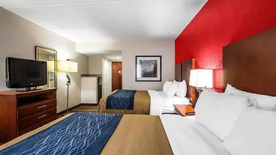 Comfort Inn Alpharetta | Georgia - Atlanta (ve civarı) - Alpharetta