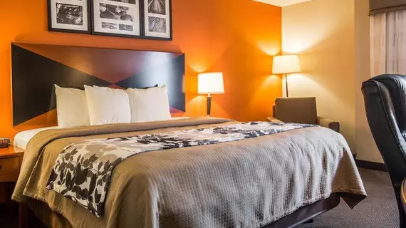 Sleep Inn & Suites East Chase | Alabama - Montgomery (ve civarı) - Montgomery