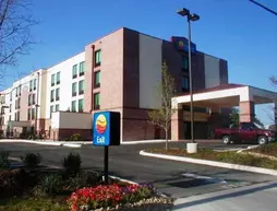 Comfort Inn & Suites San Antonio Airport | Teksas - San Antonio (ve civarı) - San Antonio - Kuzey San Antonio - SAT Havalimanı