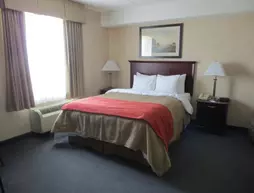 Comfort Inn Mississauga