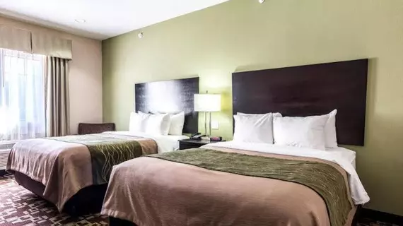 Comfort Inn & Suites Mansfield | Louisiana - Mansfield